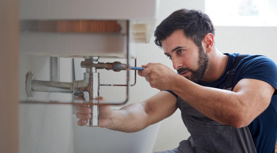 Trap Repair/Replacement in Boise, ID